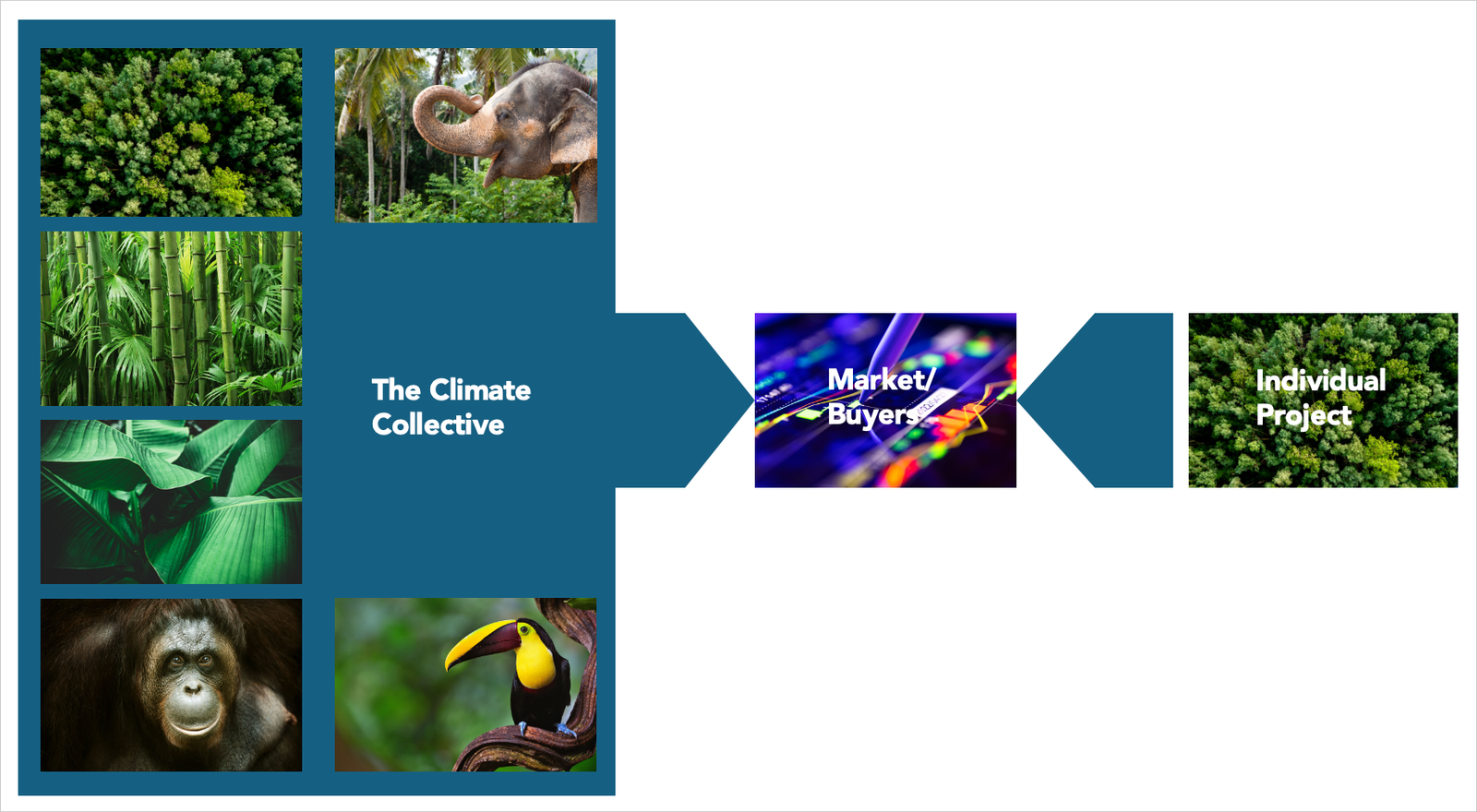 The Climate Collective takes a portfolio of projects to market; an individual project reaches the same buyers alone