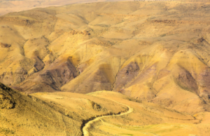 Sustainable Land Bond