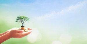 Landscape Incubation Facility for the Environment (LIFE)