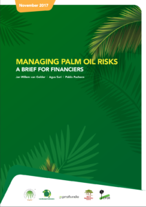 Managing Palm Oil Risks: A Brief For Financiers