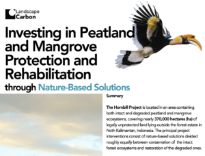 Investing in Peatland and Mangrove Protection and Rehabilitation through Nature-Based Solutions