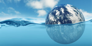 Net Zero Support Program