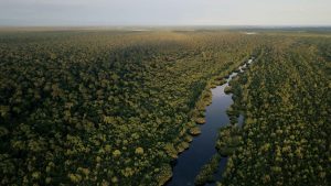 Restoration Advisory Incubation Service (Raise)