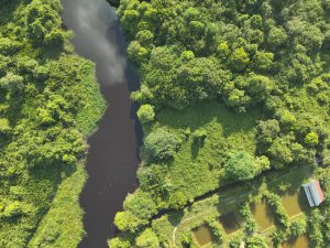 Southeast Asia Urban Services Facility (Support to Planning Indonesia’s New Capital)-Environmental Planning